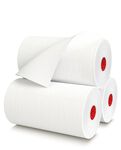 White Paper Towels 1 Roll White Paper Towels 1 Roll