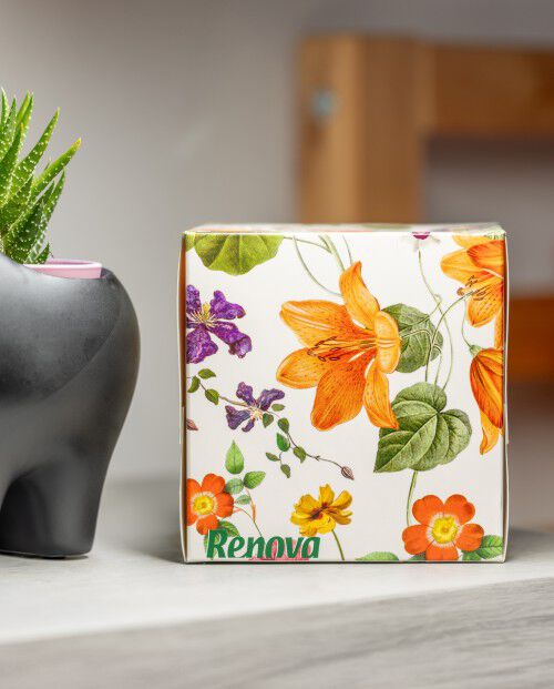 Facial Tissues &ldquo;Floral Enchantment&rdquo;