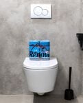 Double Faced Blue Toilet Paper 4R Double Faced Blue Toilet Paper 4R