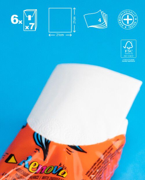 Len&ccedil;os Renova Kids