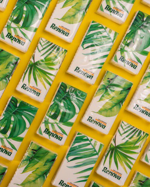 Renova Essential Pocket Tissues 30+10