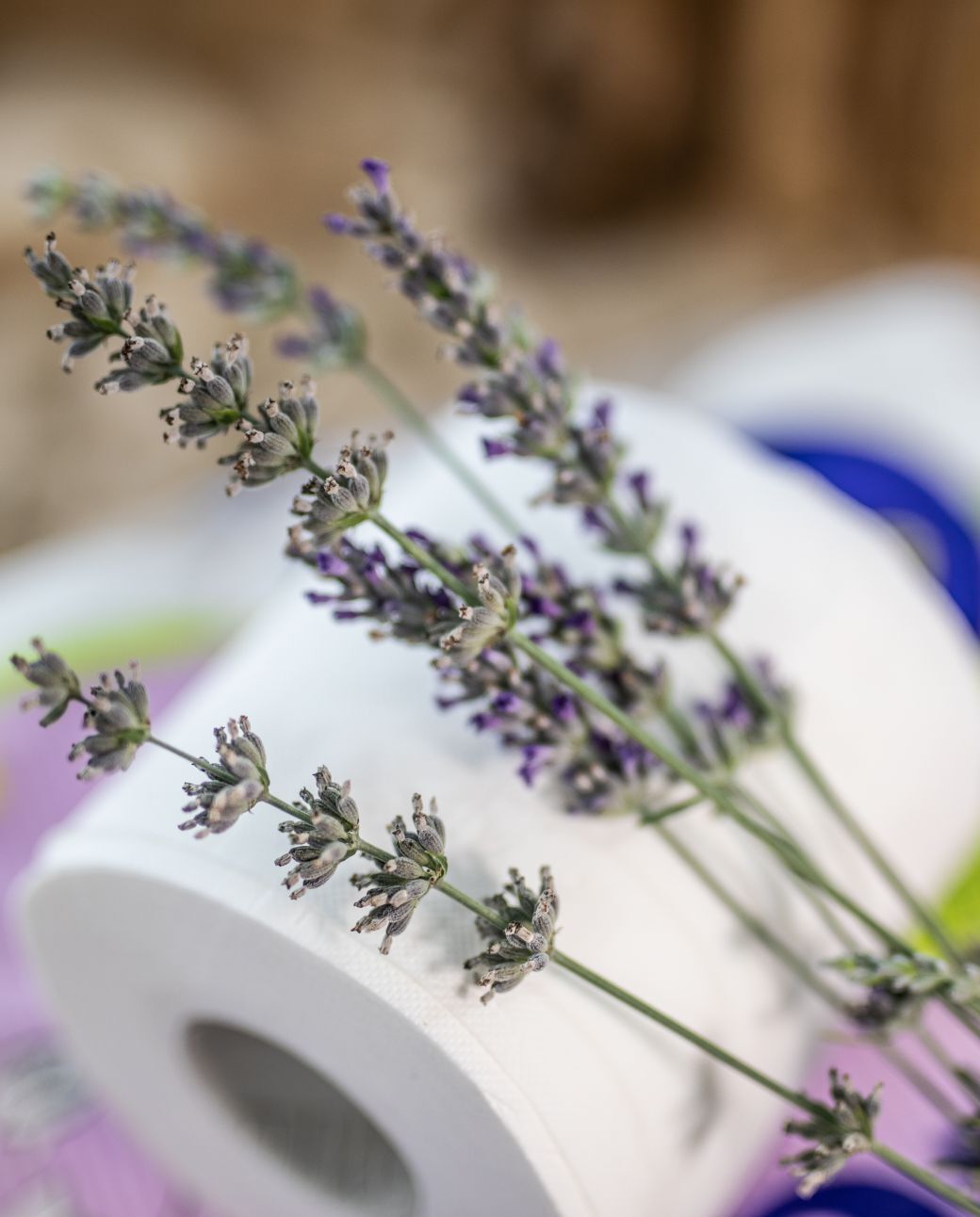 Skin Care Lavande 60R