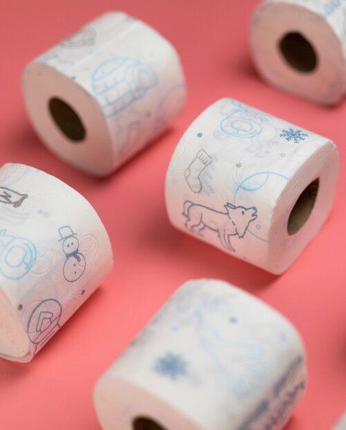 Winter Edition Toilet Paper 4R