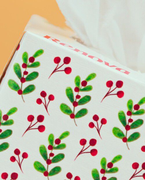 Facial Tissues Holly Jolly Christmas