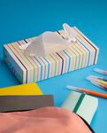 "Brush Pens" Facial Tissues "Brush Pens" Facial Tissues