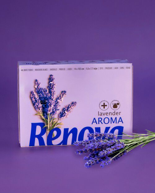 Pa&ntilde;uelos Faciales Renova Lavanda