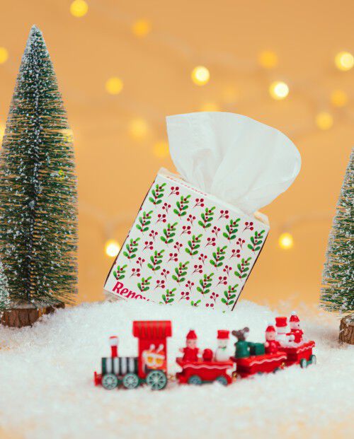Facial Tissues Holly Jolly Christmas