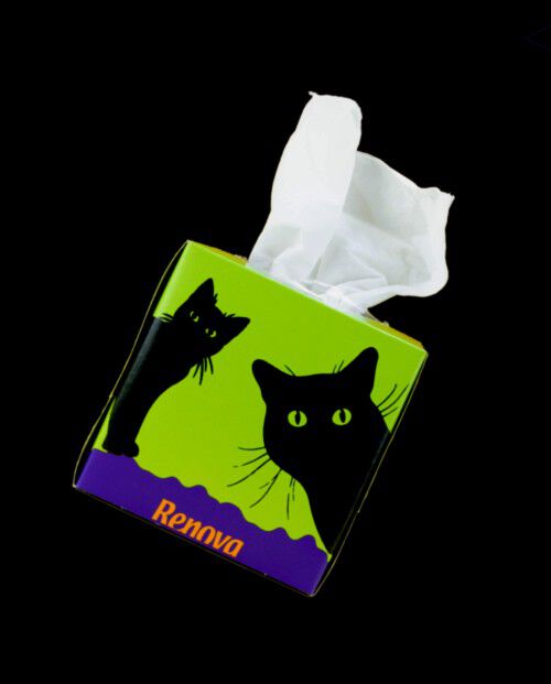 Facial Tissues "Black Cat"