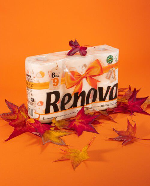 Papier Toilette Design Automne 42R