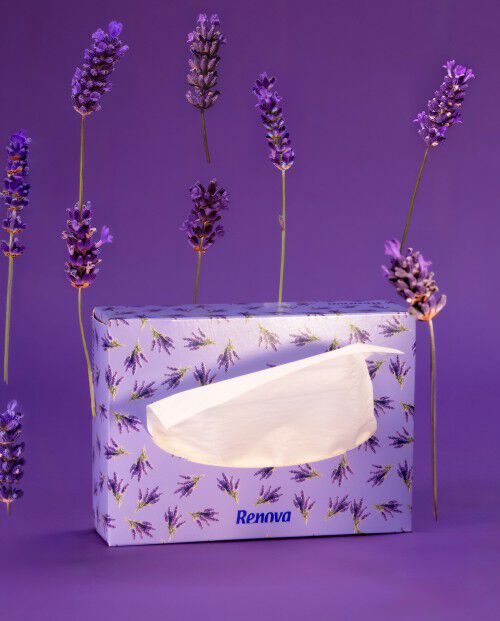 Pa&ntilde;uelos Faciales Renova Lavanda