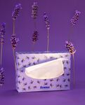 Renova Lavender Facial Tissues Renova Lavender Facial Tissues