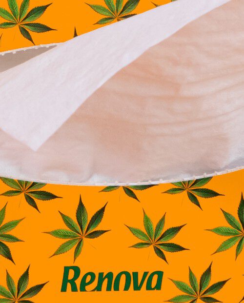 Pa&ntilde;uelos Faciales Renova Cannabis Sativa