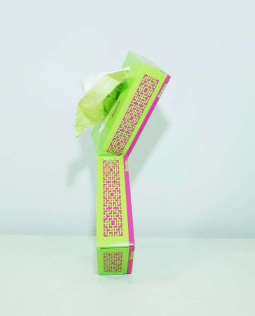 Pa&ntilde;uelos Verdes