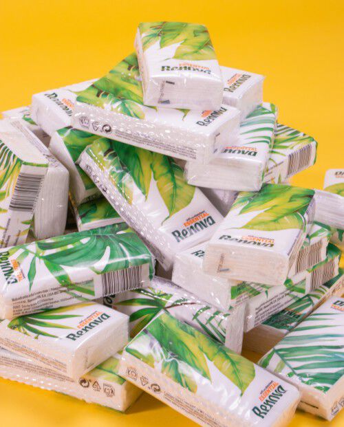 Renova Essential Pocket Tissues 30+10