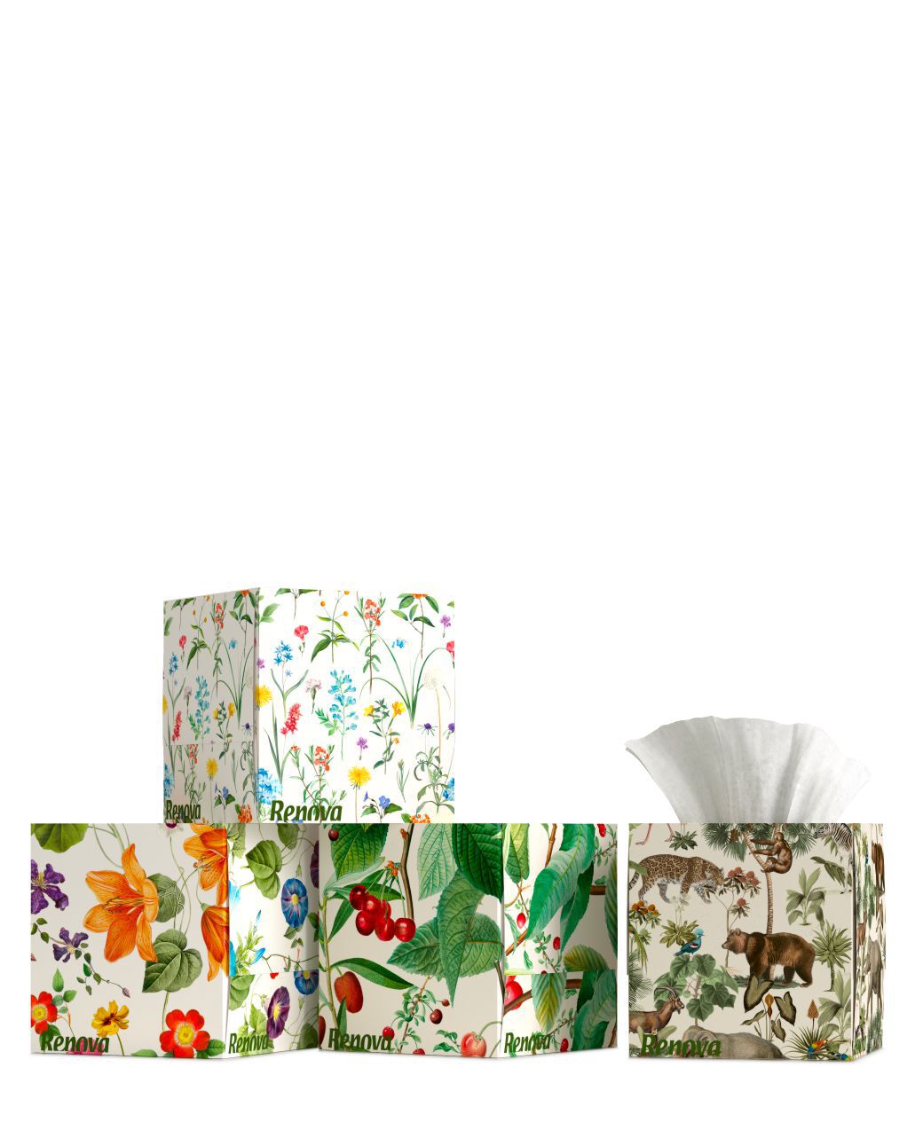 Facial Tissues &ldquo;Floral Enchantment&rdquo;