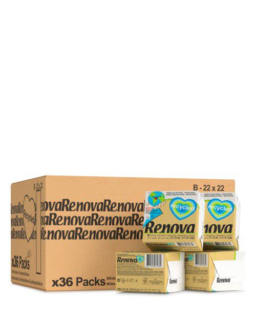 Guardanapos Recycled 22x22 80 x36 UN