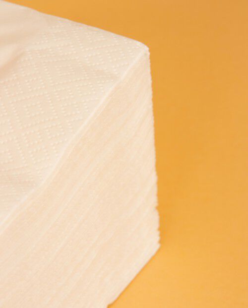 Guardanapos Art de La Table 3 folhas