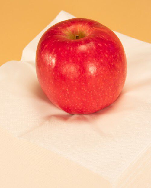 Guardanapos Art de La Table 3 folhas