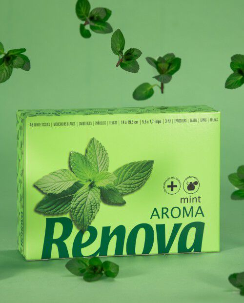 Len&ccedil;os Faciais Renova Mentol