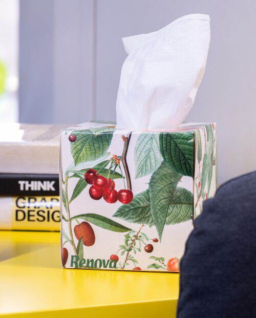 Facial Tissues &ldquo;Seasonal Fruits&rdquo;