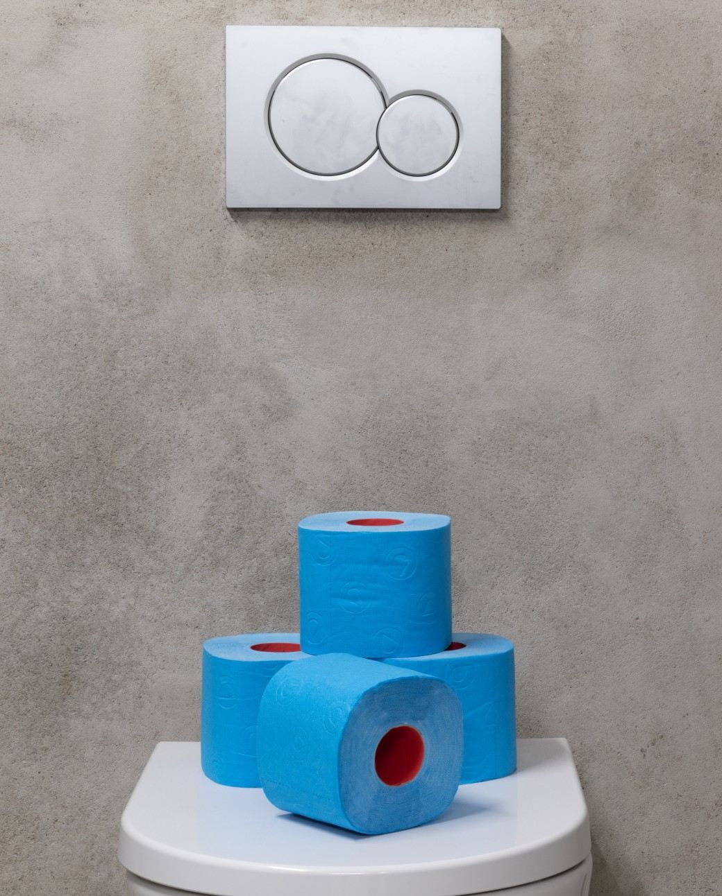 Papel Higi&eacute;nico Dupla Face Azul 4R