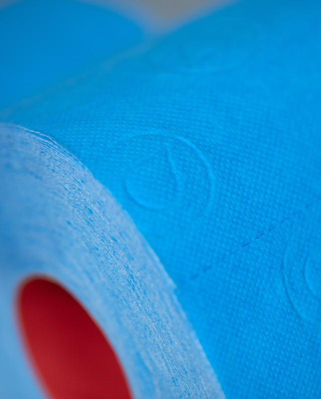 Double Faced Blue Toilet Paper 4R Double Faced Blue Toilet Paper 4R