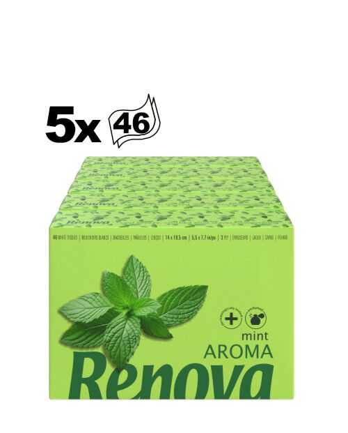 Lote de Pa&ntilde;uelos Faciales Renova Mentol