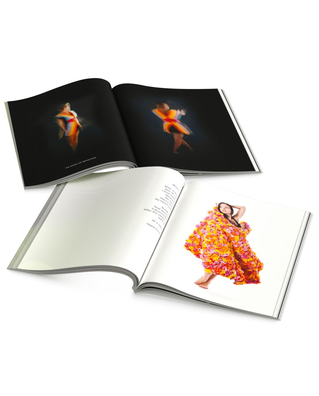 The garden of Renova - Nuit Blanche 2014 Toronto