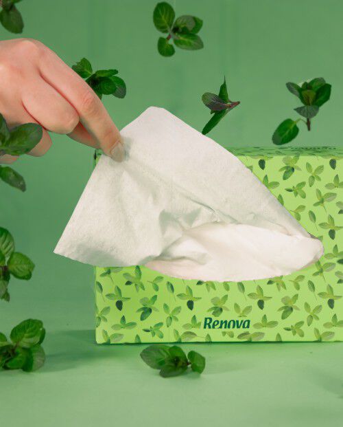 Len&ccedil;os Faciais Renova Mentol