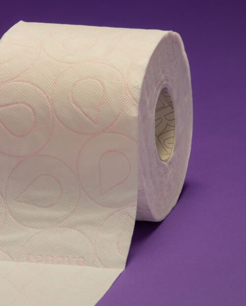 Papel Higi&eacute;nico Skin Care Plus Crema 36R