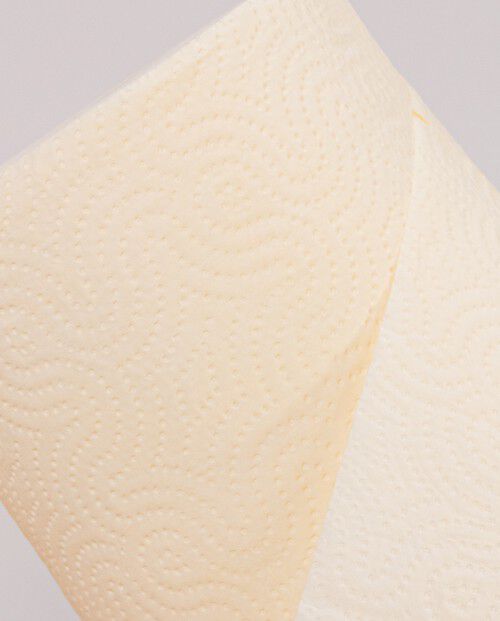 Peach Cream Paper Towels 1 Roll