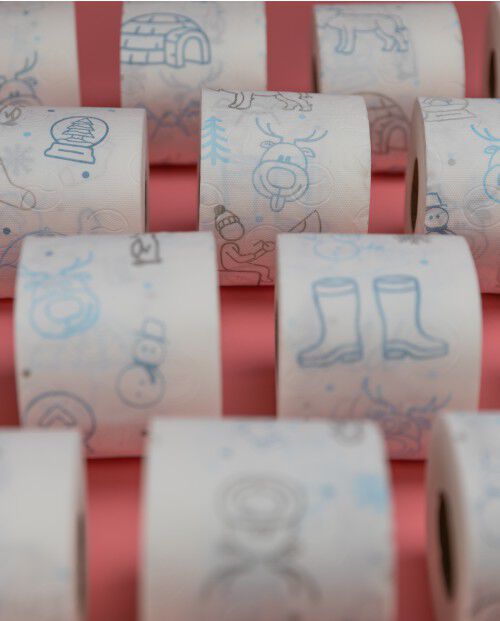 Winter Edition Toilet Paper 4R