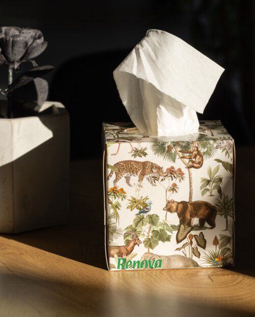 Pa&ntilde;uelos Faciales &ldquo;Savana&rdquo;