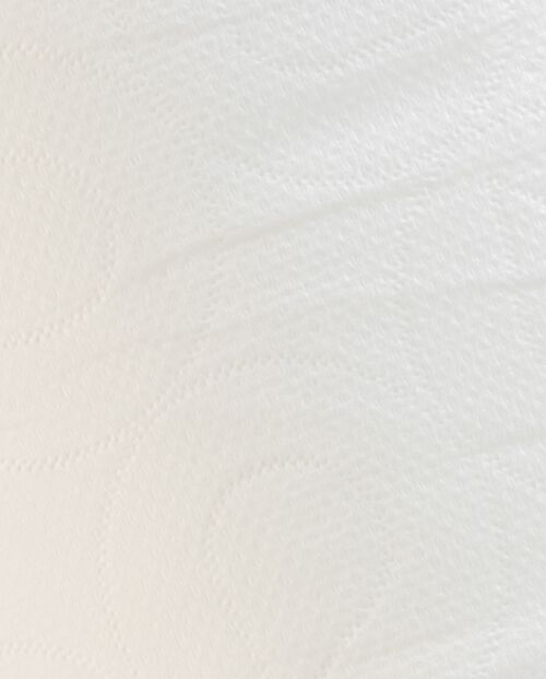 Papier toilette TextilPapier 30R