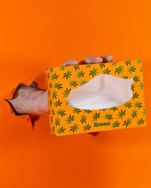 Bundle Pack Renova Cannabis Sativa Facial Tissues
