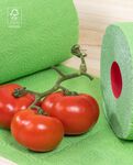 Essuie-tout Vert Essuie-tout Vert