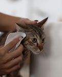 Pet Care Multipurpose Roll Pet Care Multipurpose Roll