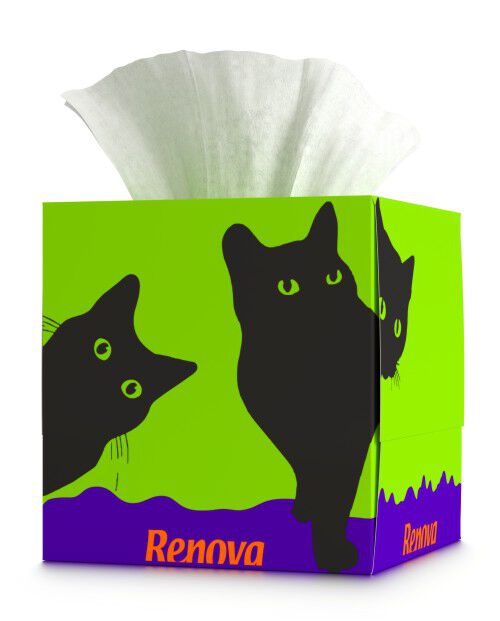 Facial Tissues "Black Cat"