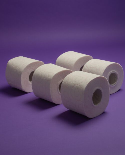 Papel Higi&eacute;nico Skin Care Plus Crema 72R