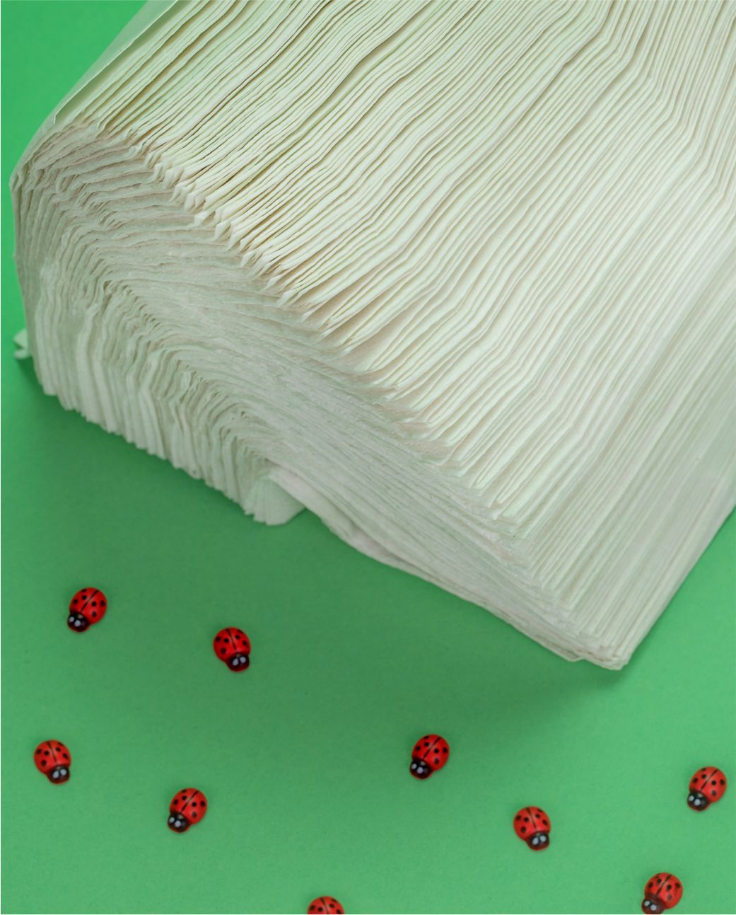 Servilletas Recycled 2 Capas x30