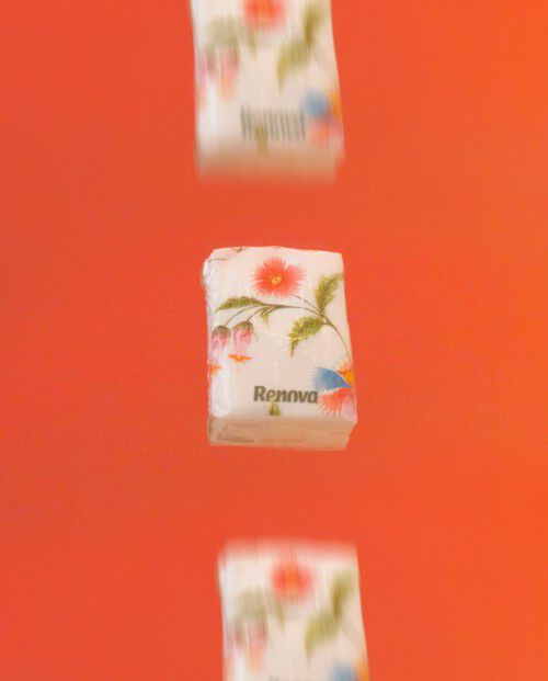 Pack Mouchoirs &Eacute;tuis Blossom