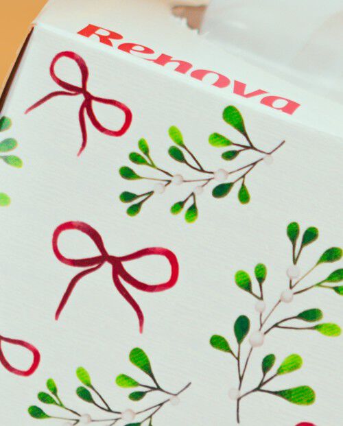 Bundle Pack Facial Tissues Christmas