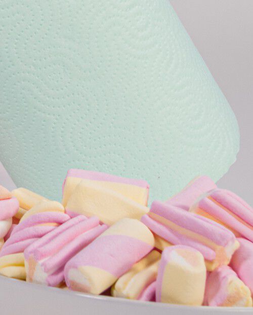 Magic Mint Paper Towels 1 Roll