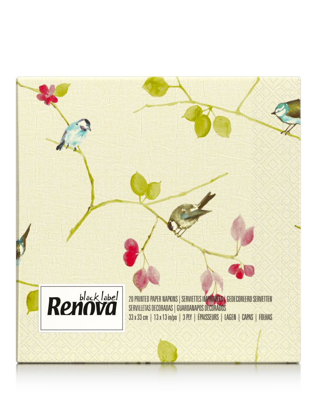 Serviettes Peinture D&rsquo;oiseaux