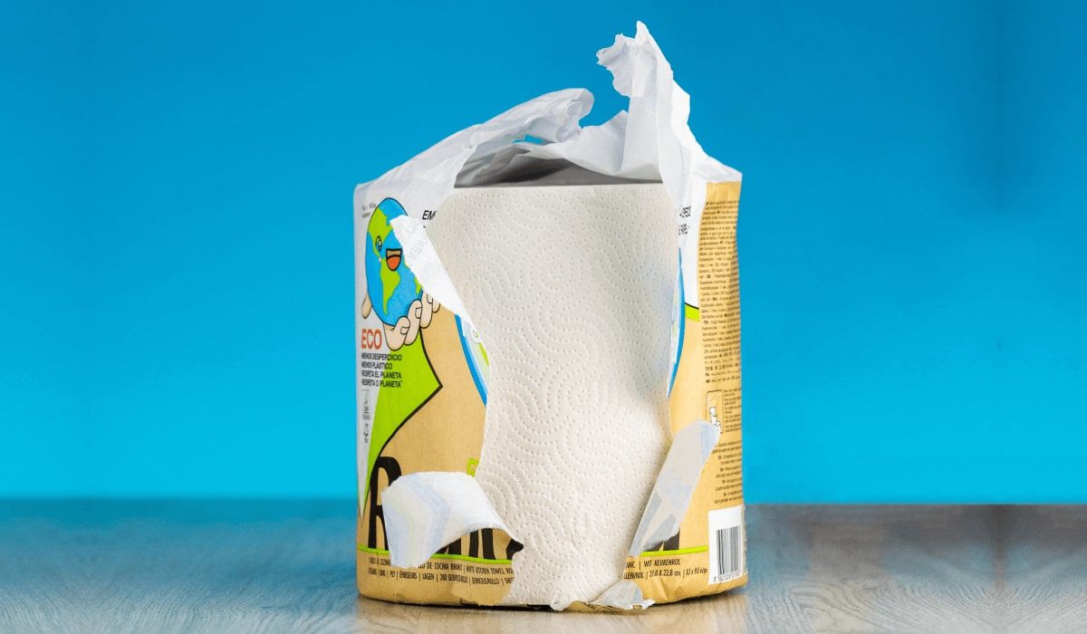 Renova The Sexiest Paper On Earth We bring Colour, Light and