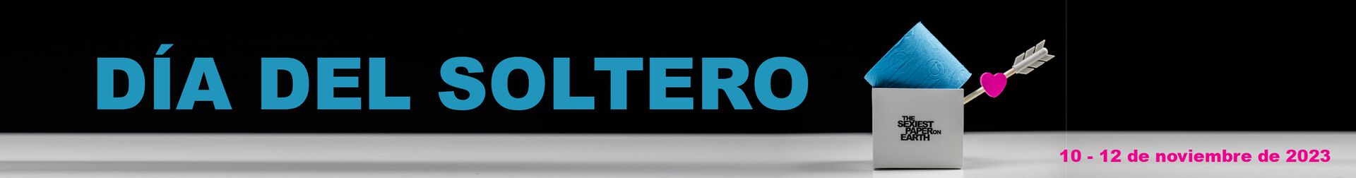 Dia del soltero Banner